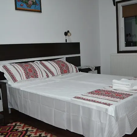 Πανσιόν Casa Lia Valea Putnei