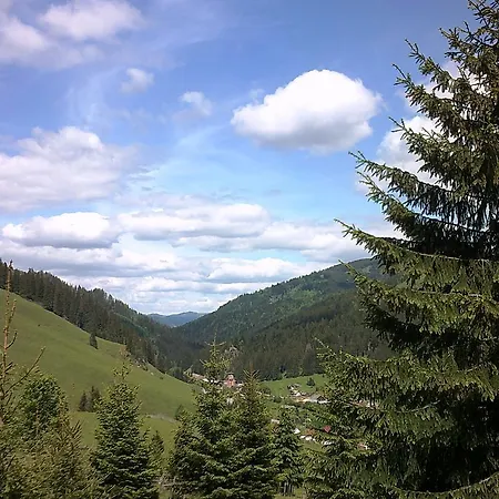 Casa Lia Valea Putnei