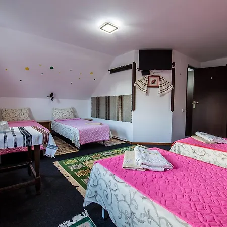Casa Lia Πανσιόν Valea Putnei