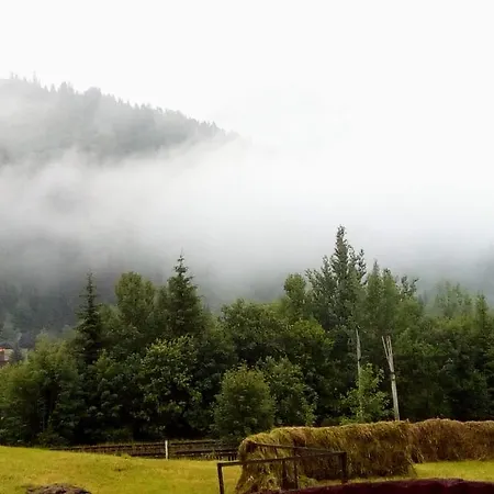 Casa Lia 3* Valea Putnei